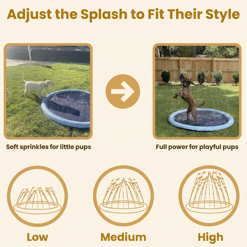 Spry Splash